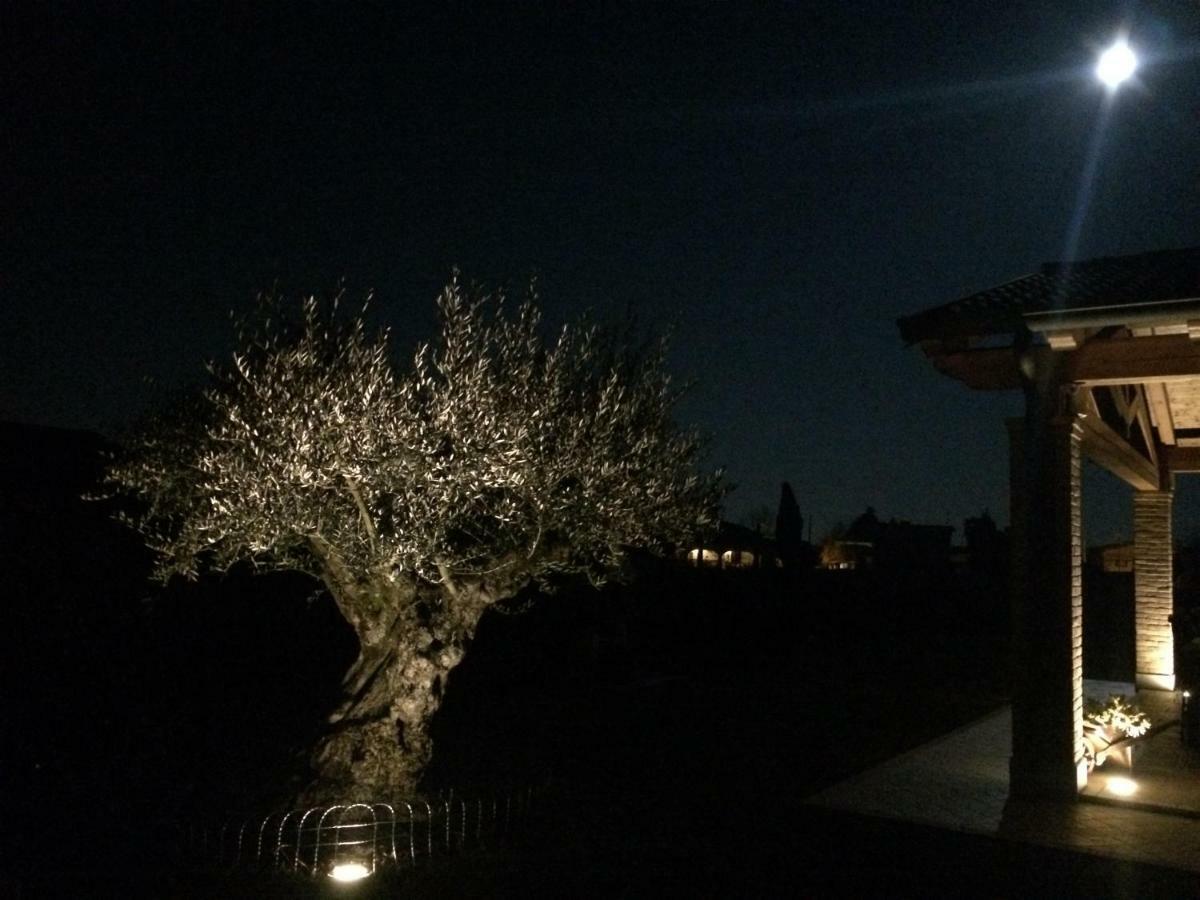 Villarosa Santa Lucia di Piave Εξωτερικό φωτογραφία
