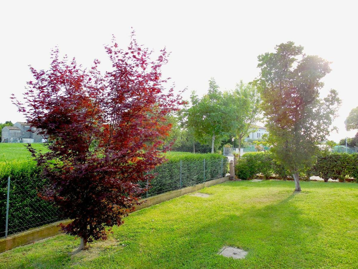 Villarosa Santa Lucia di Piave Εξωτερικό φωτογραφία